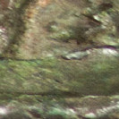 Charles Correia (pormenor)