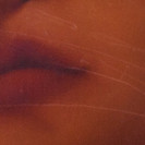 Lisa Santos Silva (pormenor)