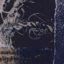 Sujata Bajaj (pormenor)